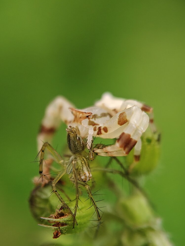 Photograph by Sai Krishna