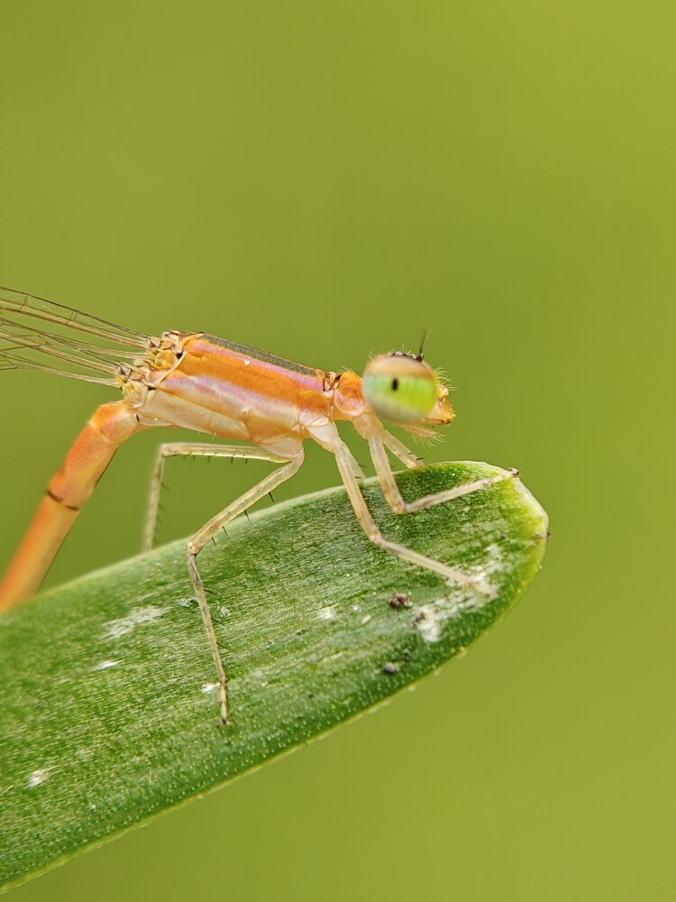 Photograph by Sai Krishna