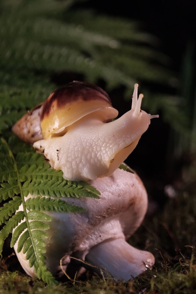 Photograph by Яна Истоцкая