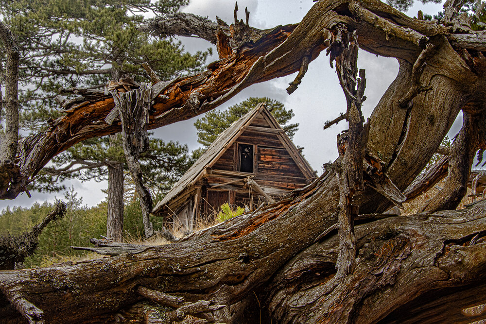 Photograph by Slavko Rošul