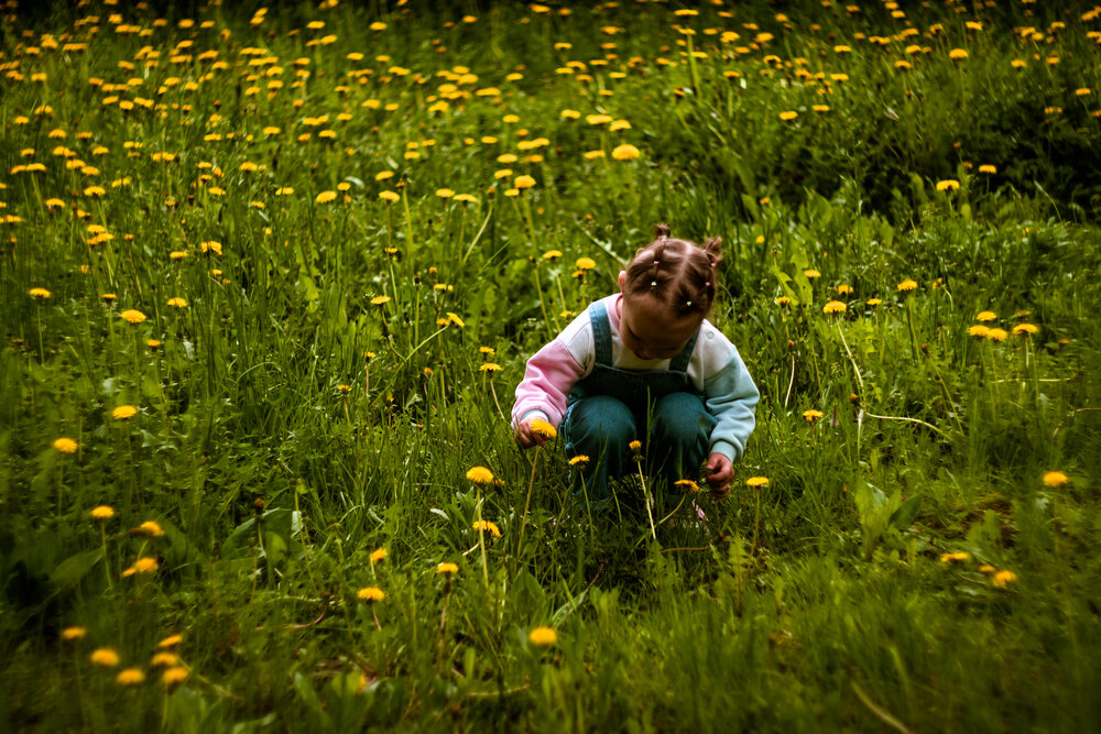 Photograph by Елена Берсенёва