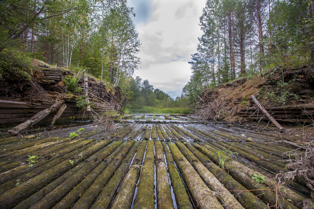Photograph by Александр Широких