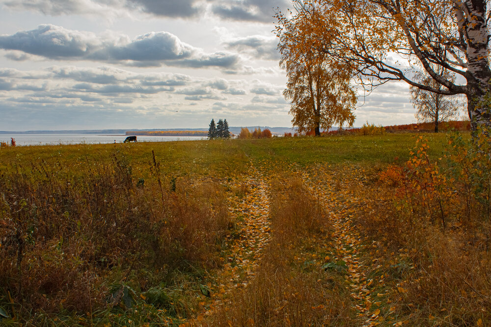 Photograph by Евгения Снигирева