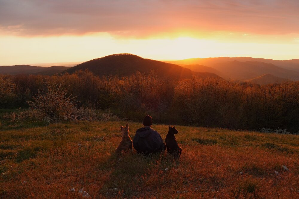 Photograph by света хлевненко