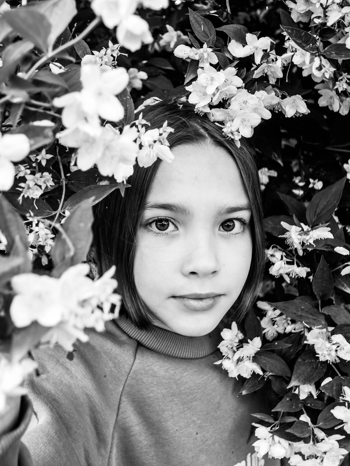 Photo #14008331