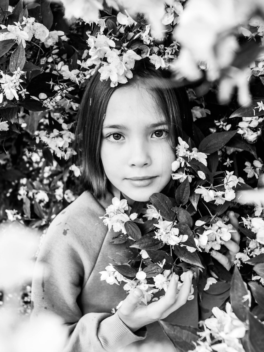 Photo #14008332