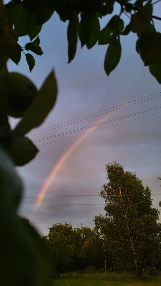 Photo #14008368