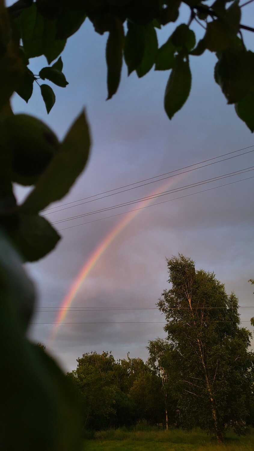 Photo #14008368