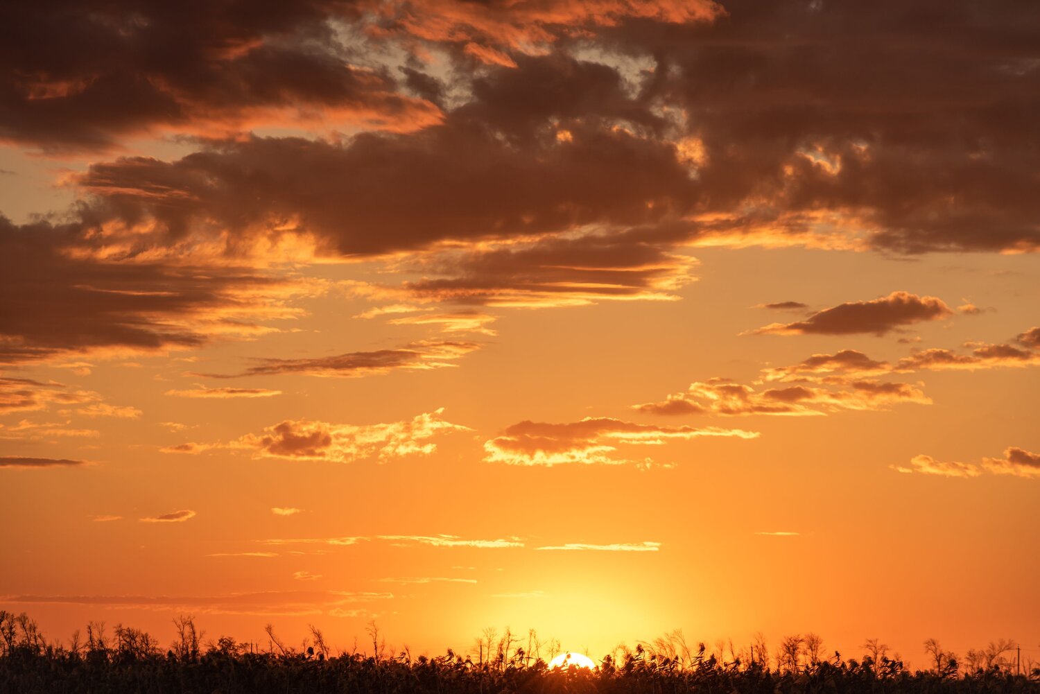 Photo #14008369