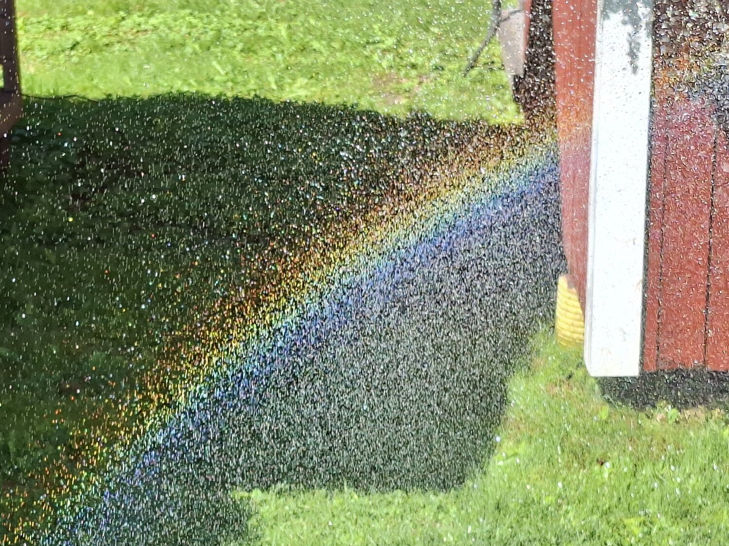 Photo #14008420