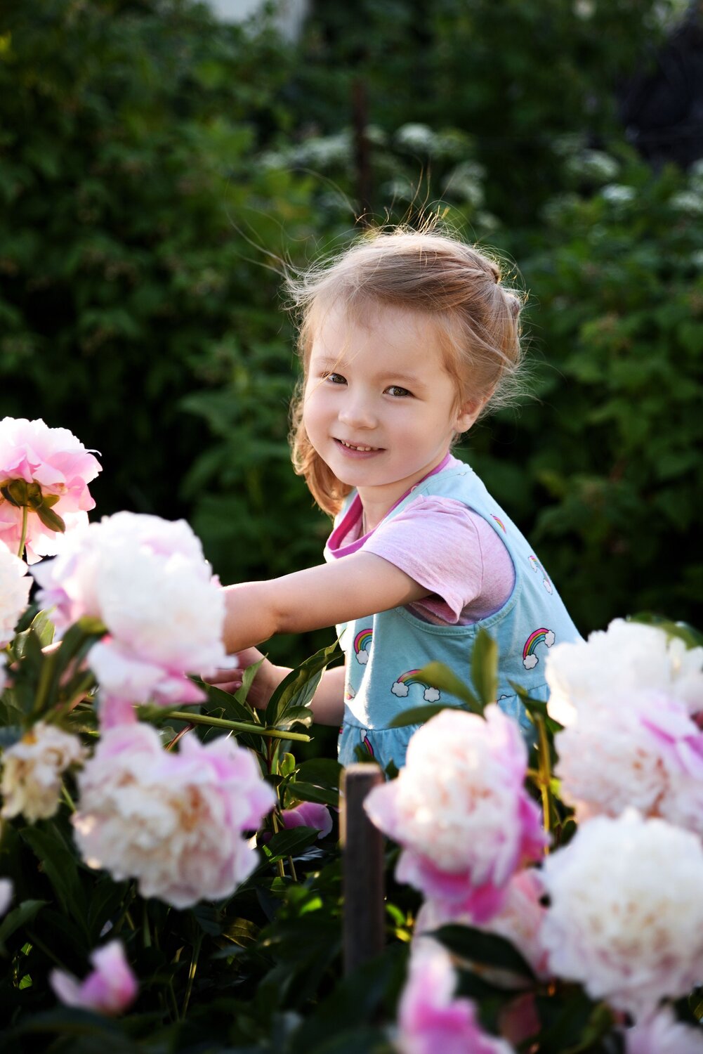 Photo #14008470