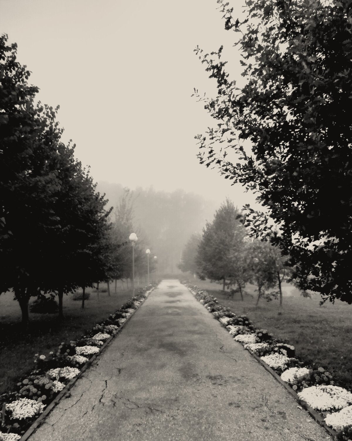 Photo #14008506
