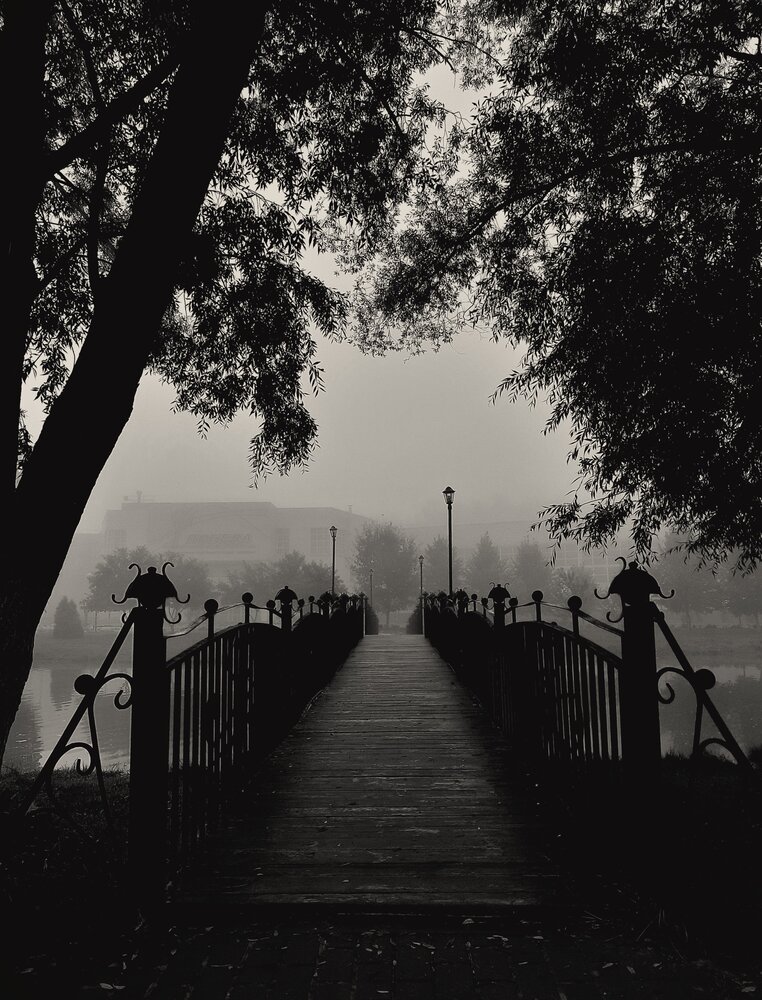 Photograph by Елена Пикатова