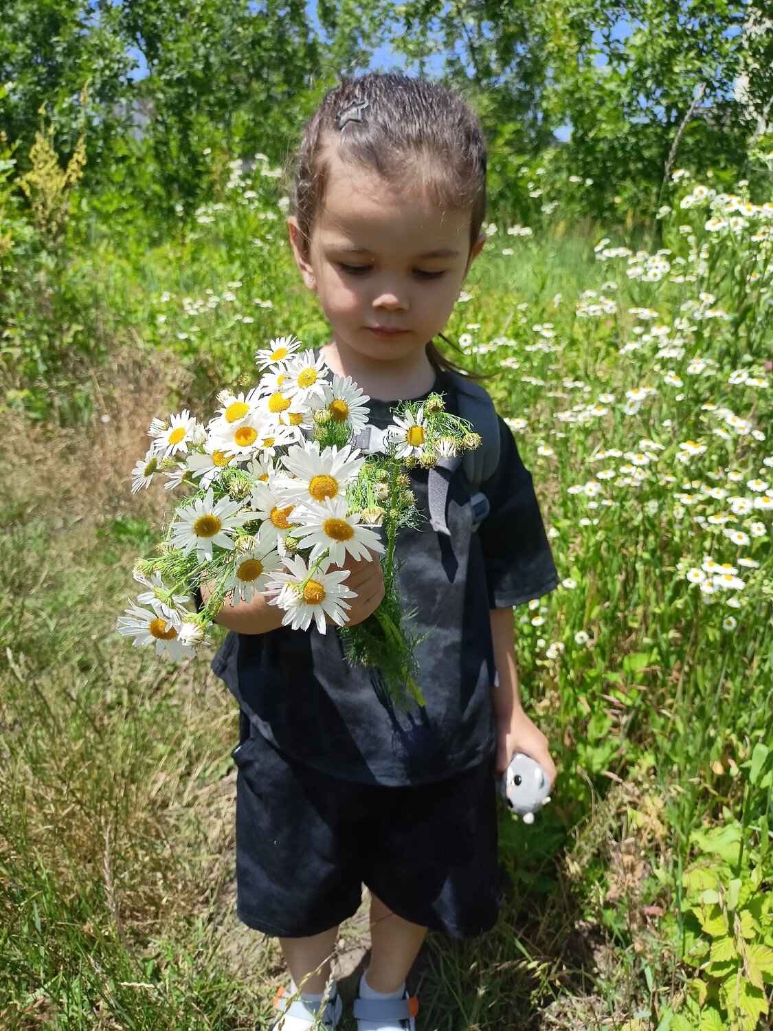 Photo #14008519