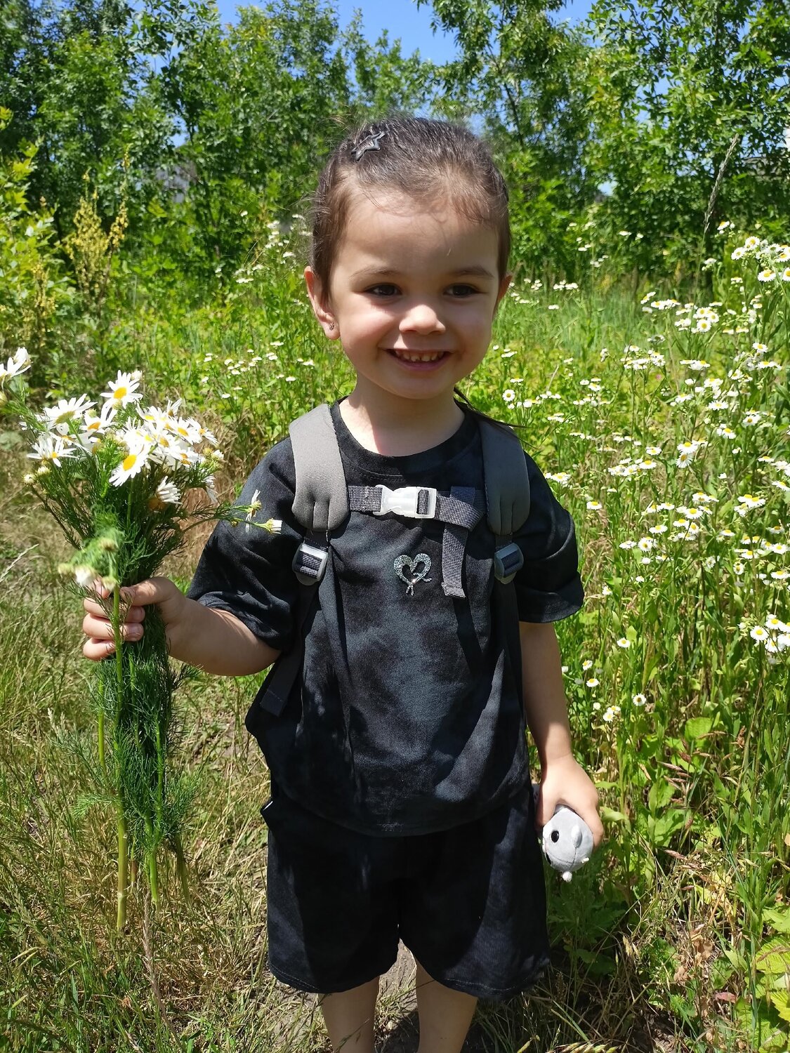 Photo #14008520