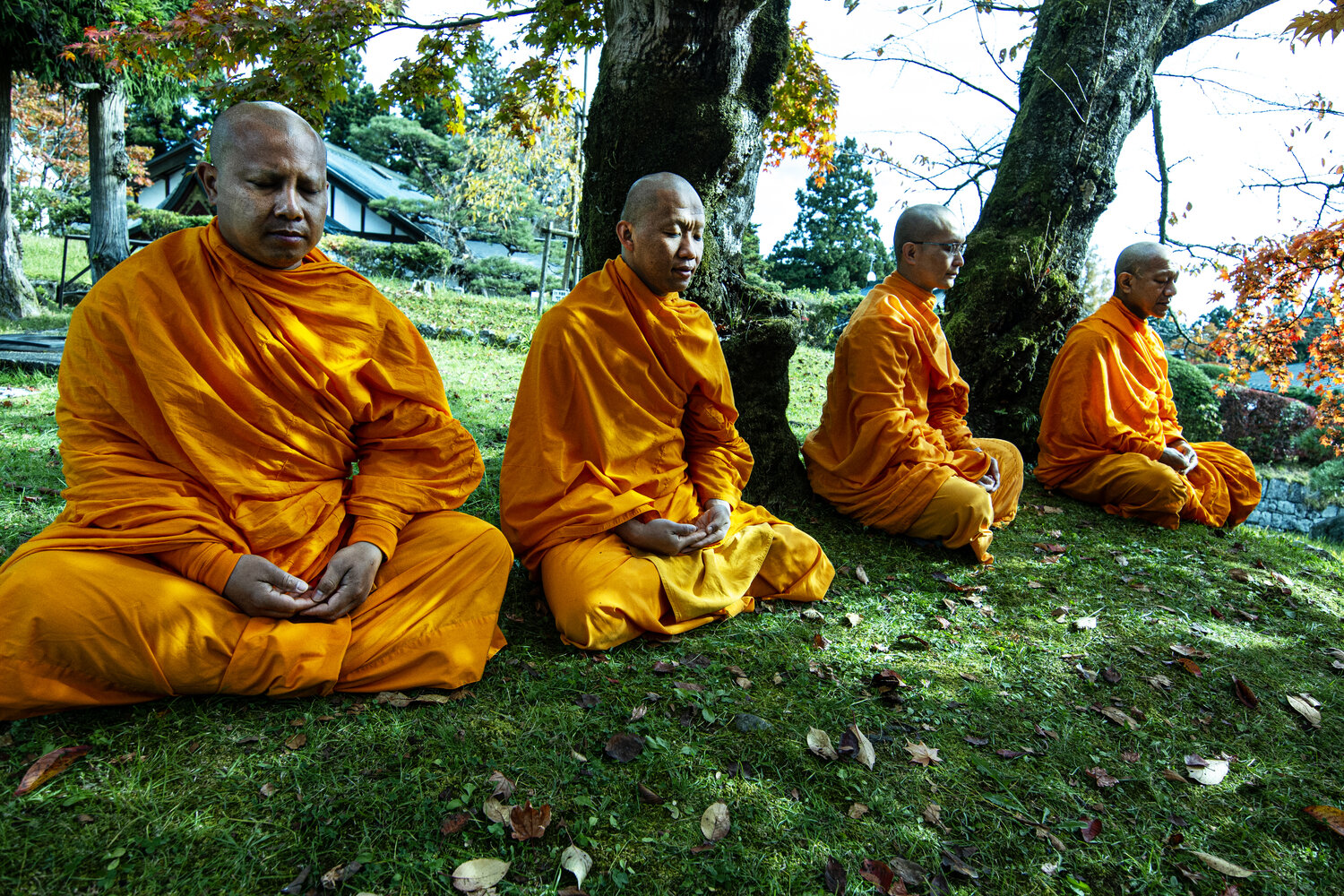Photo #14008528