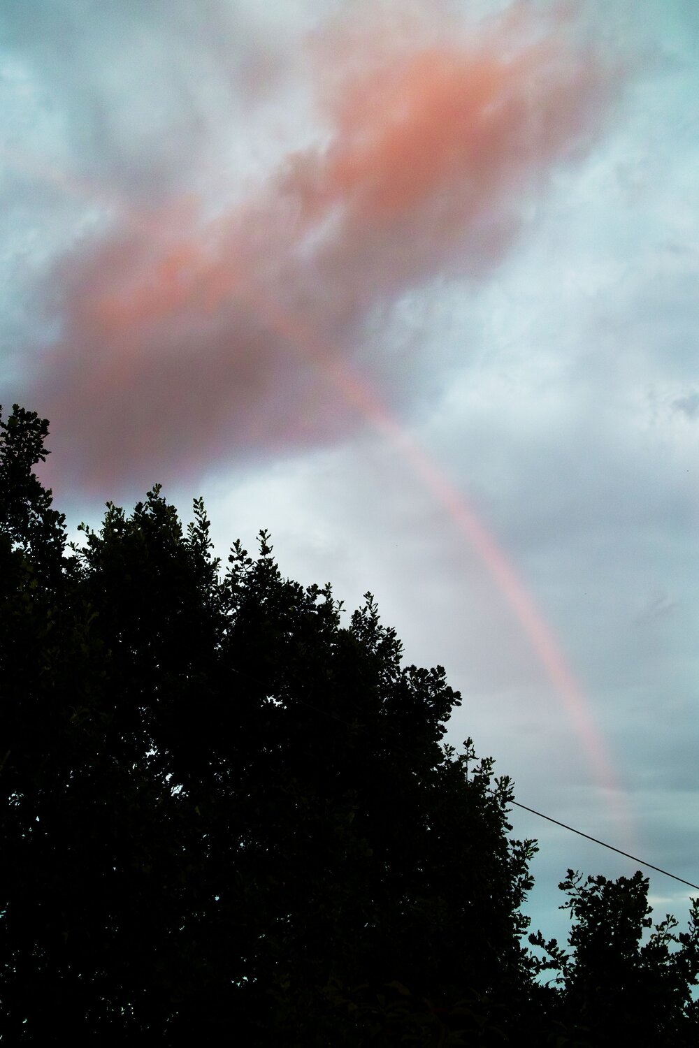 Photo #14008539