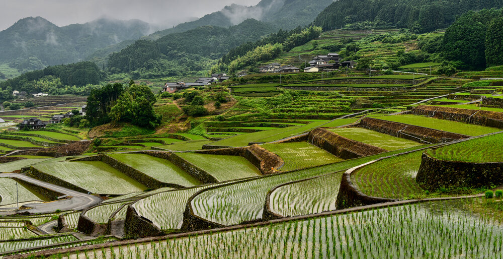 Where the Mountains Are Cultivated
