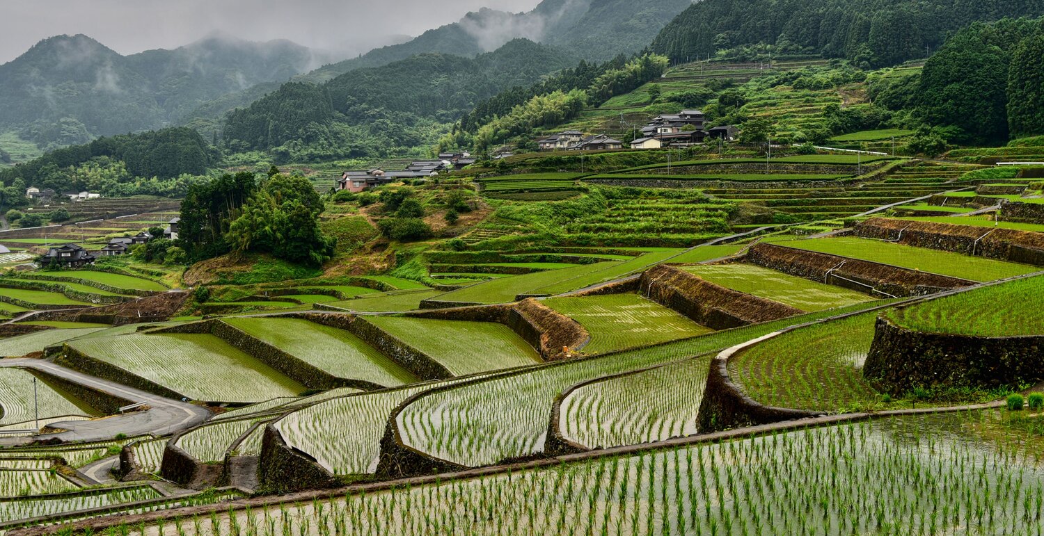 Where the Mountains Are Cultivated