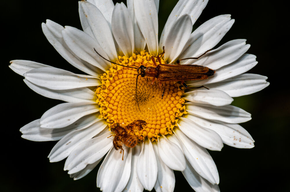 Photograph by Виталий Маслов