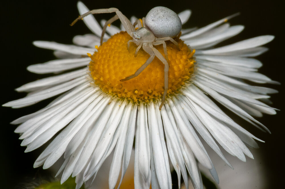 Photograph by Виталий Маслов