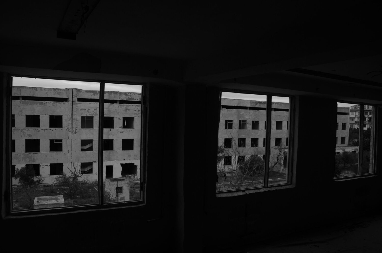 Photo #14008680