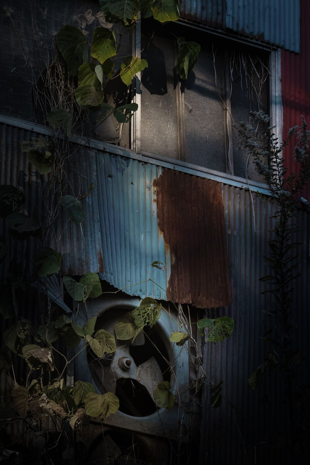 Traces of Former Vibrancy