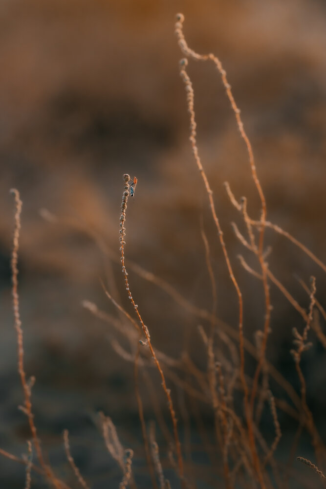 Photograph by Дарья Шевченко