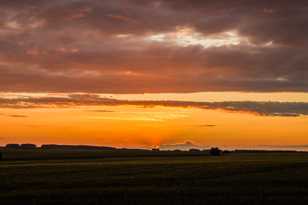 Photograph by Александр Суворов