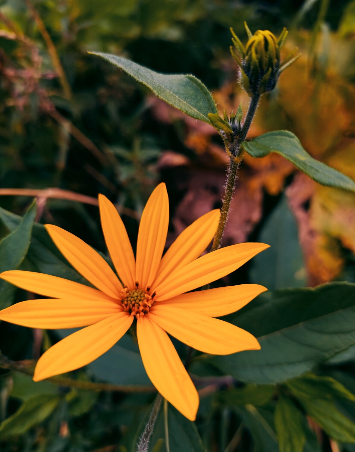 Фотография #14008818