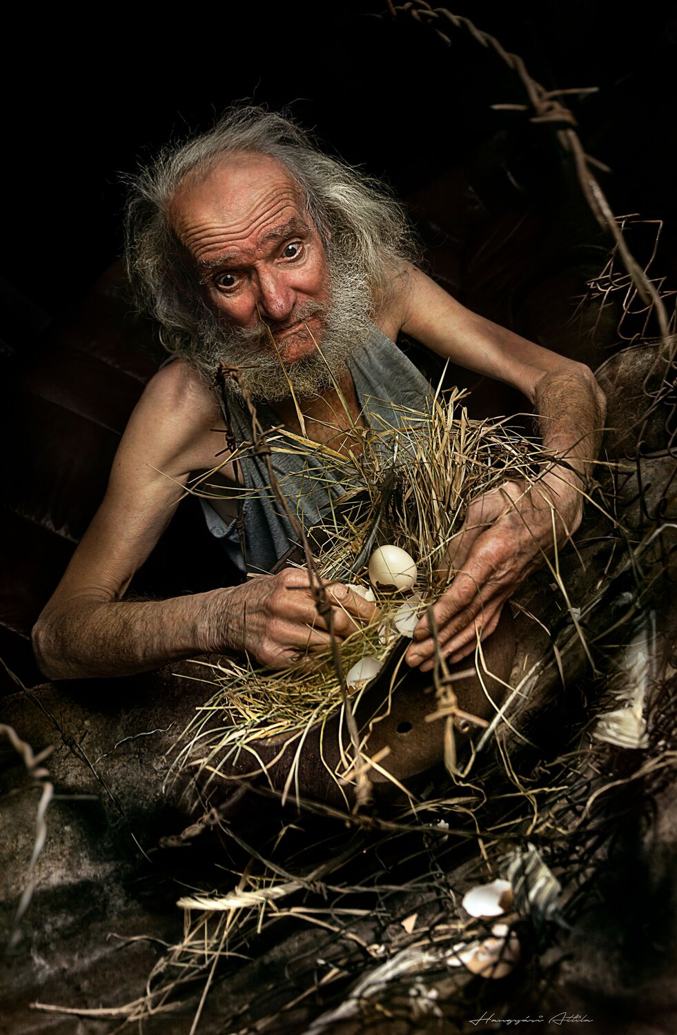 A man and a nest I.
