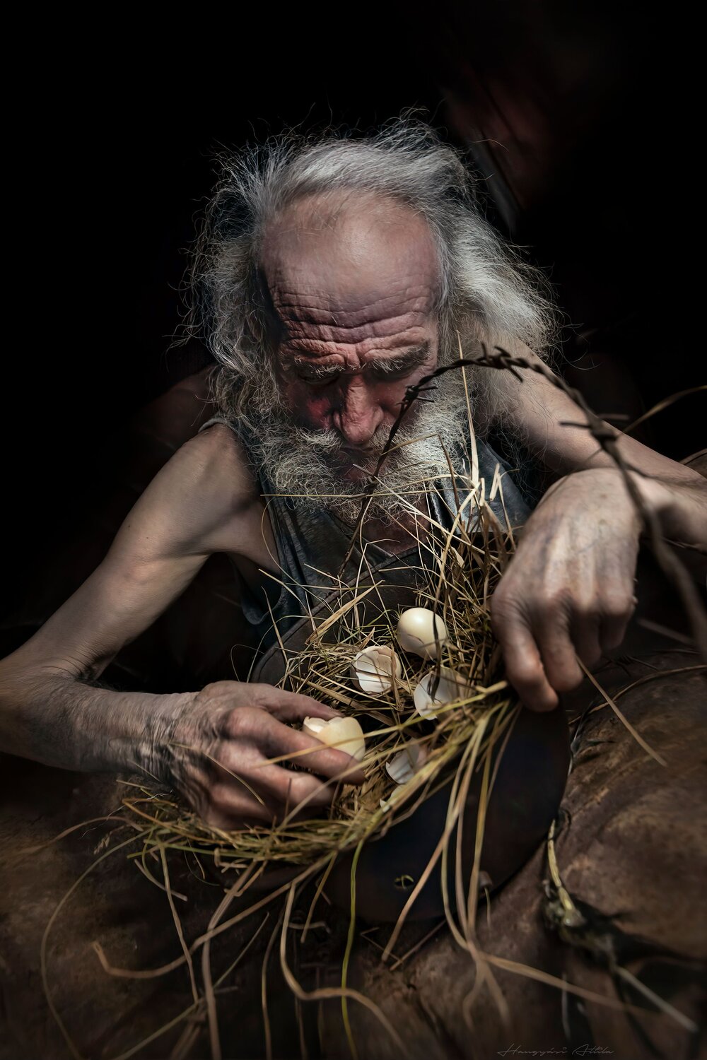 A man and a nest III.