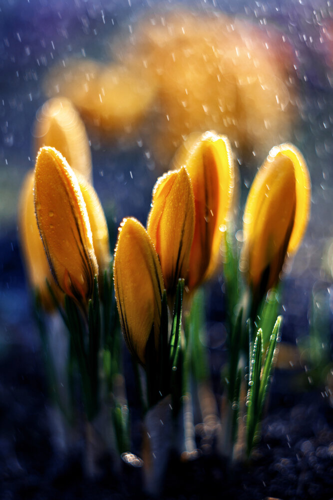 Photograph by Удрис Айвар