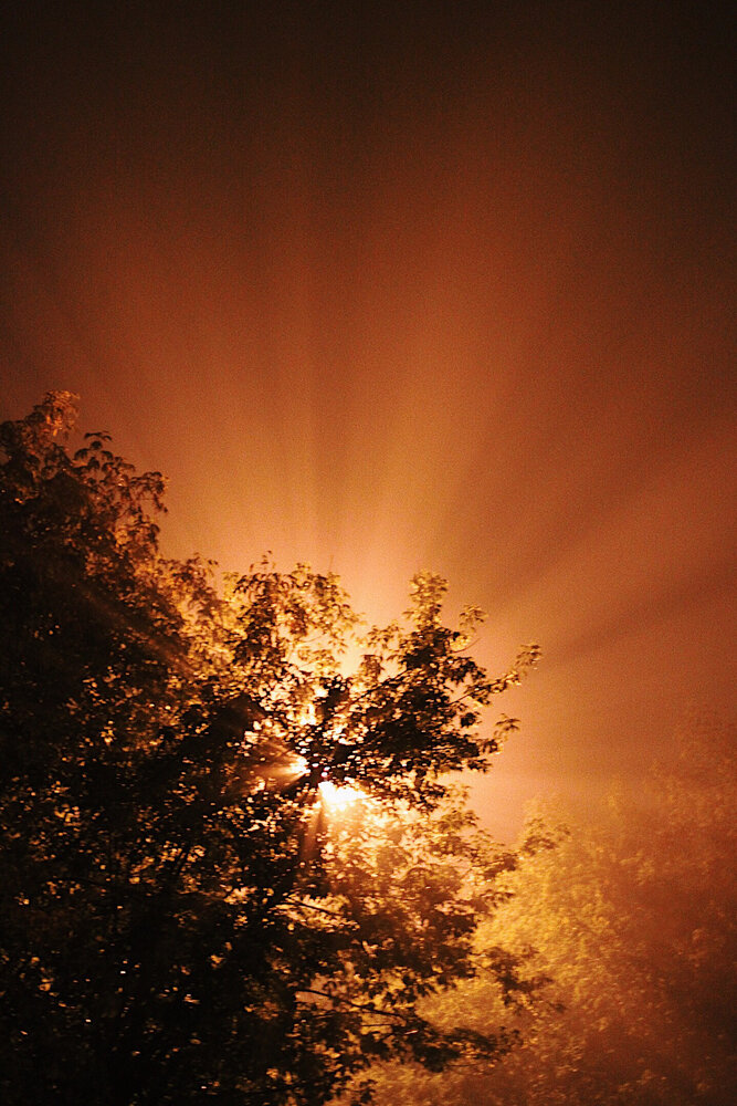 Photograph by Ксения Бешкарева