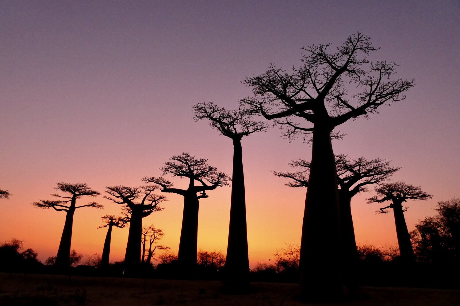 Madagascar sunset