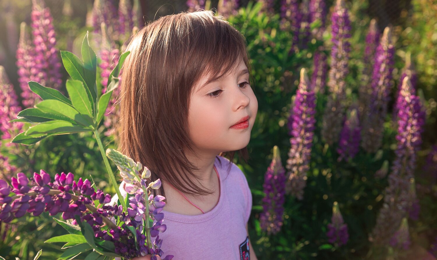 Photo #14009098