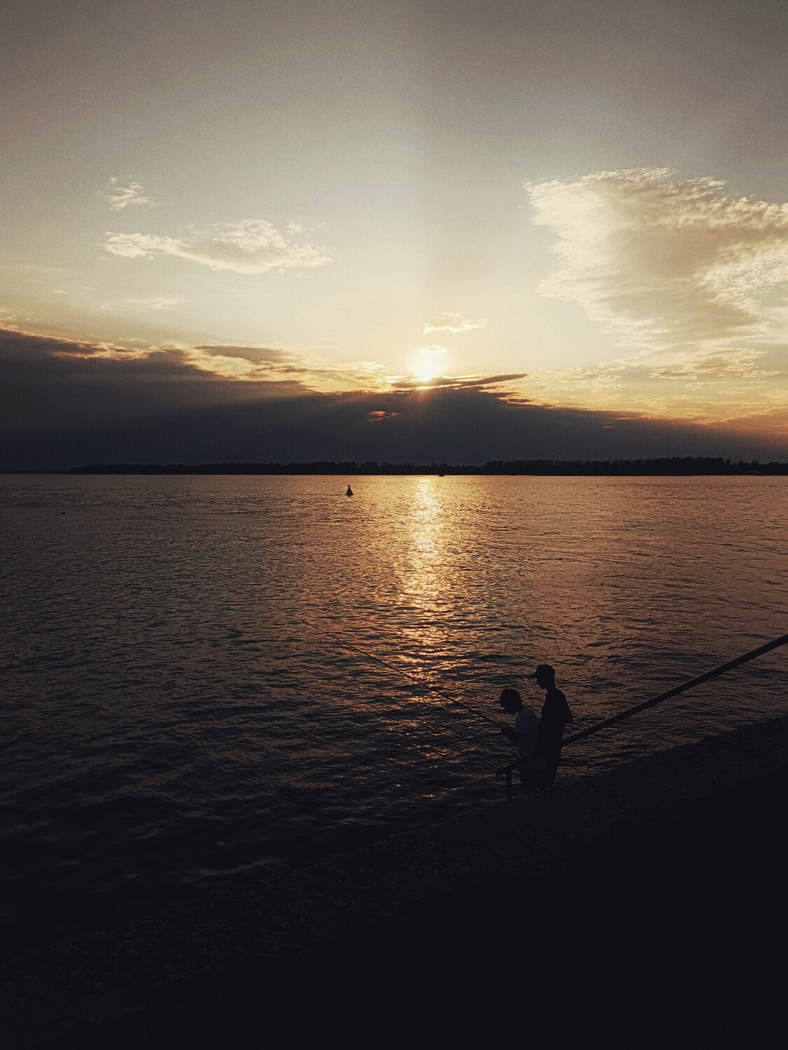 Photo #14009294