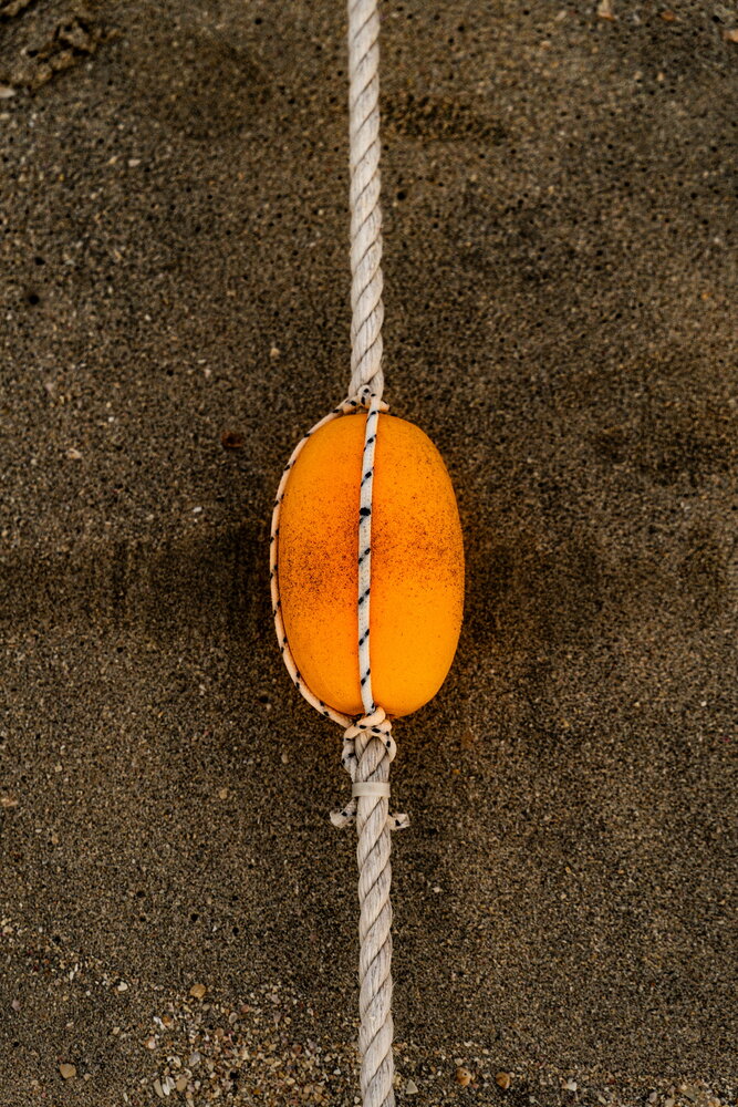 Photograph by Александр Чилимов