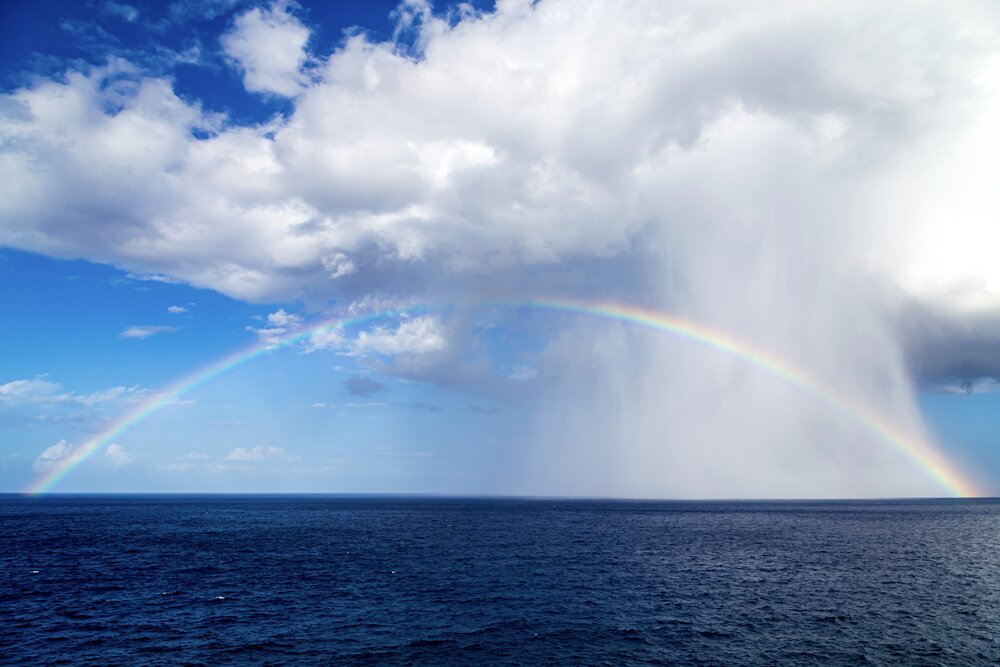 Photograph by Karim Shokair