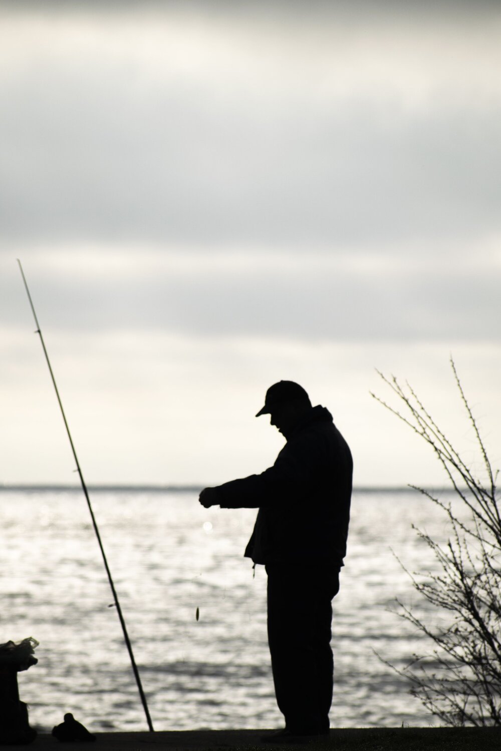 Photo #14009424