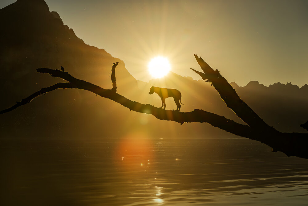 Photograph by karin bruhin