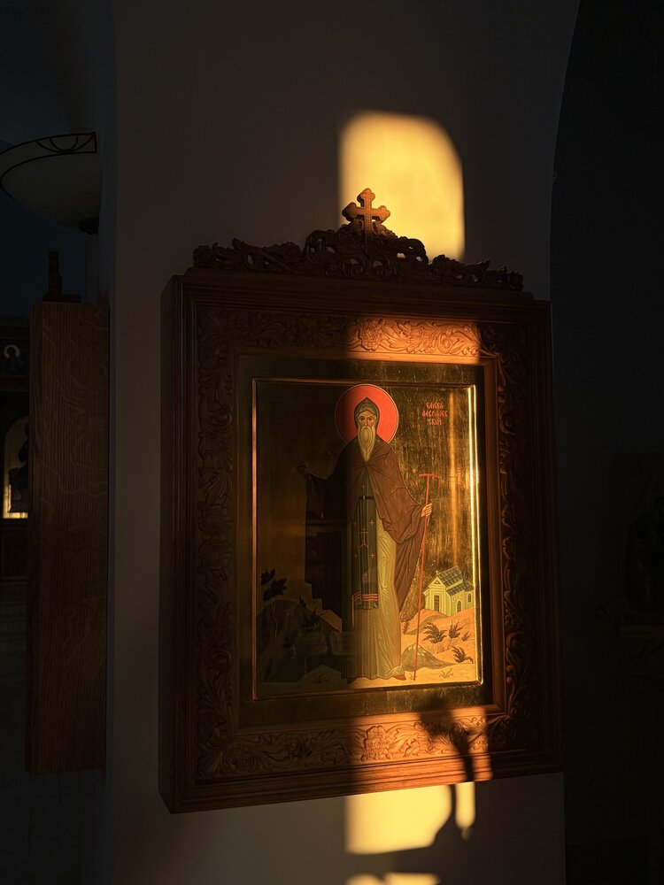 Photograph by Александра Пецевич