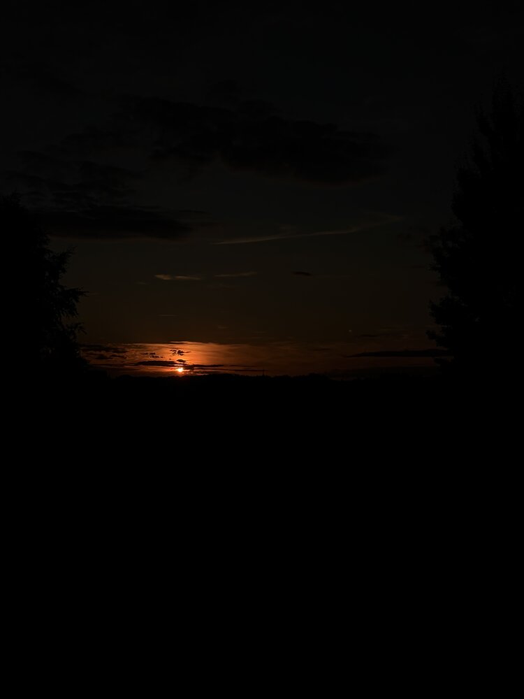 Photograph by Александра Пецевич