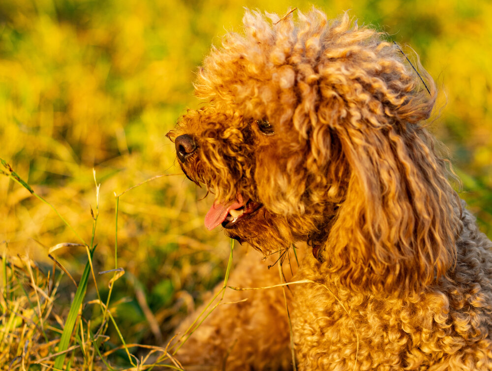 Photograph by Марина Халатова