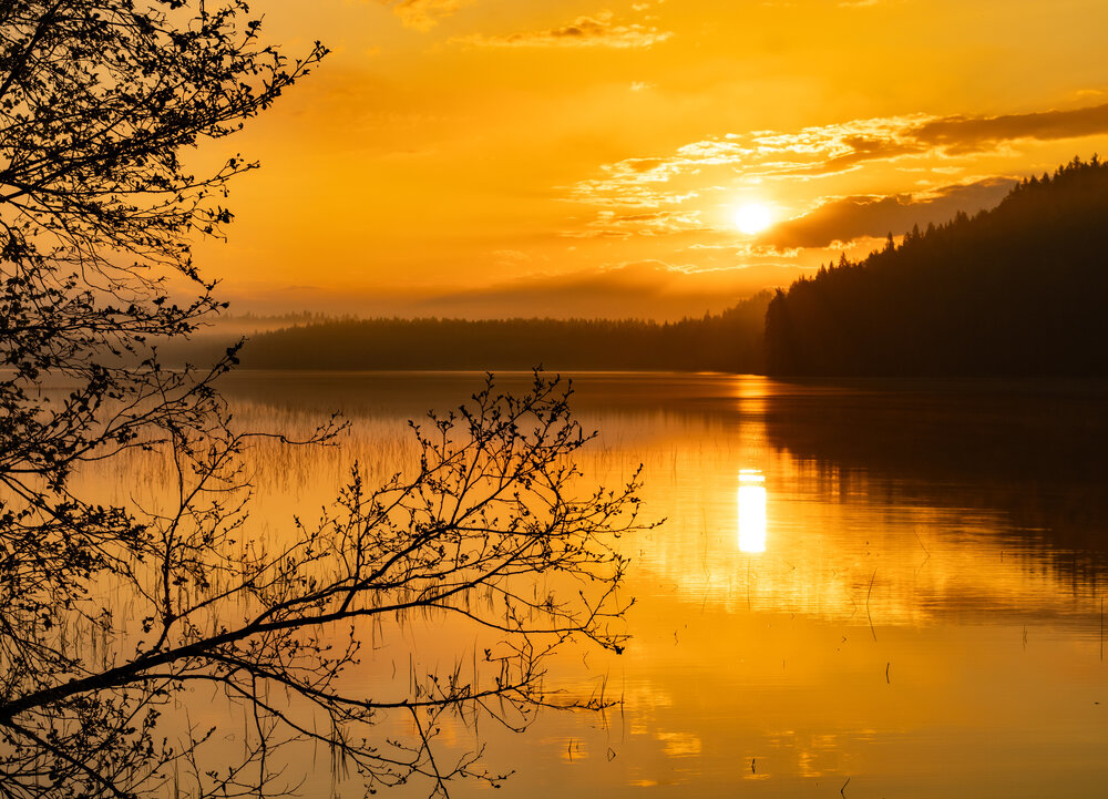 Photograph by Марина Халатова