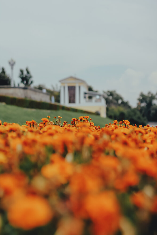 Photograph by Александра Воронина