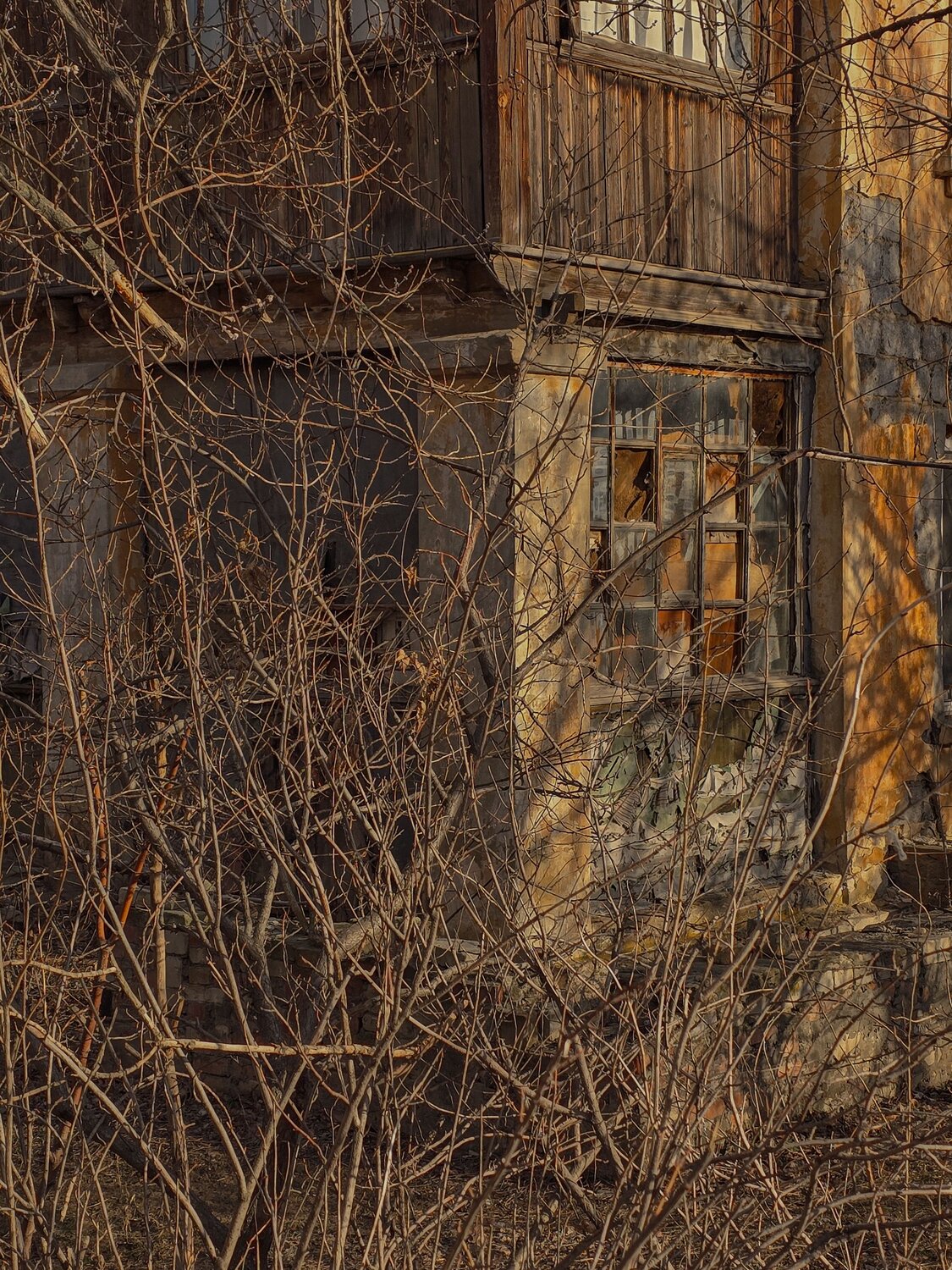 Photo #14009646