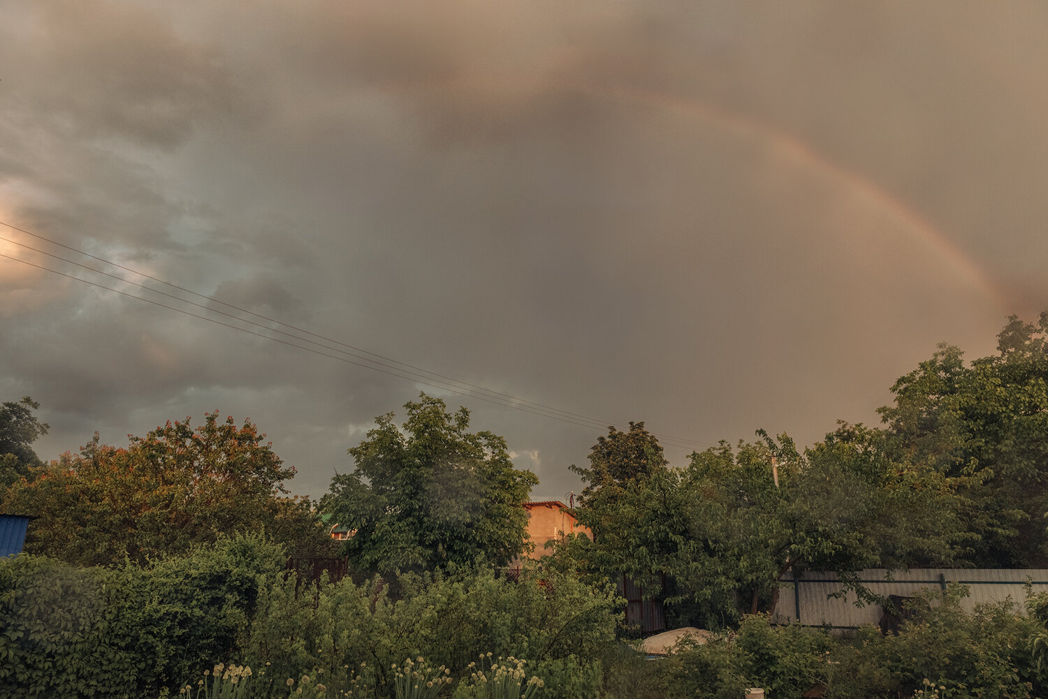 Photo #14009694