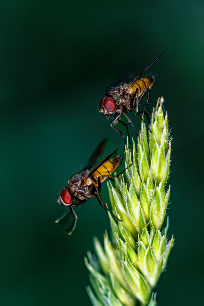 Photograph by Сергей Шестов