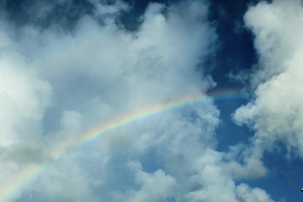 Photograph by Jose Otero